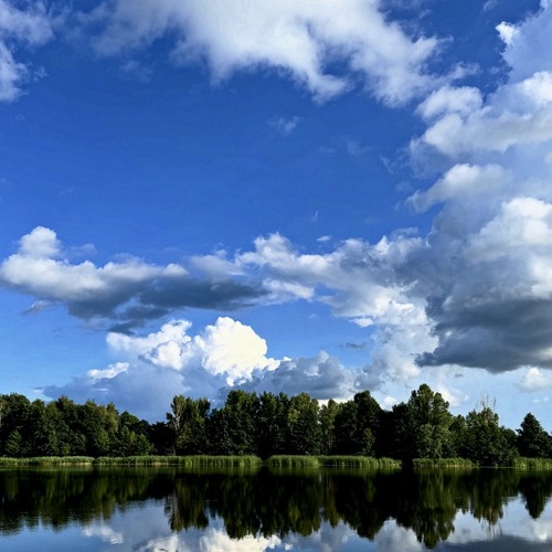 Photo #13783869