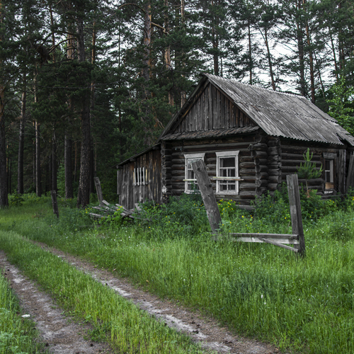 Photo #13783877