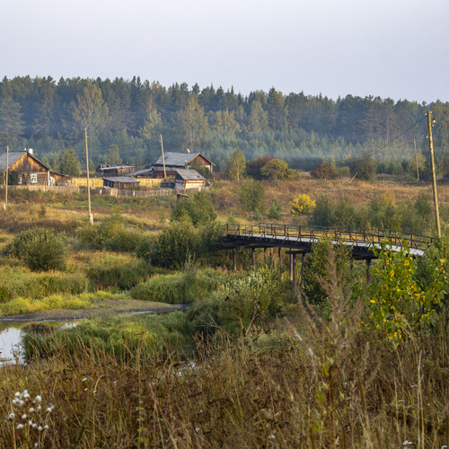 Photo #13783995