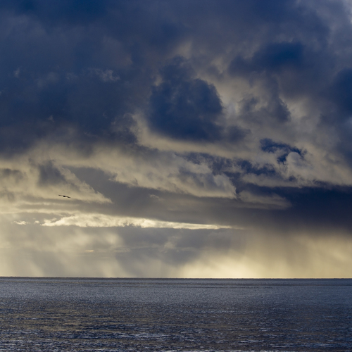 Curtains of Rain