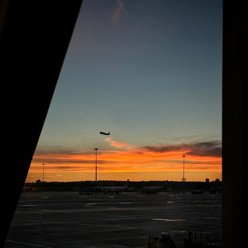 Photo #13784021