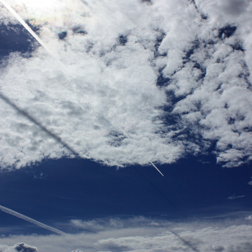 Photo #13784098