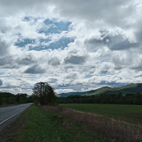 Photo #13784122