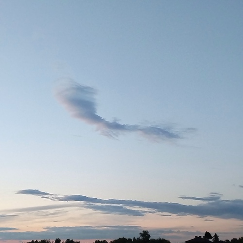 Photo #13784195