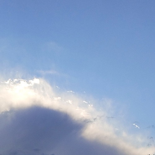 Photo #13784198