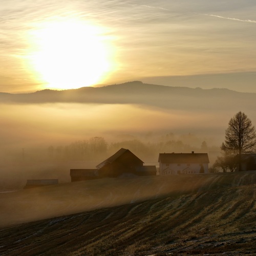 Winter sun