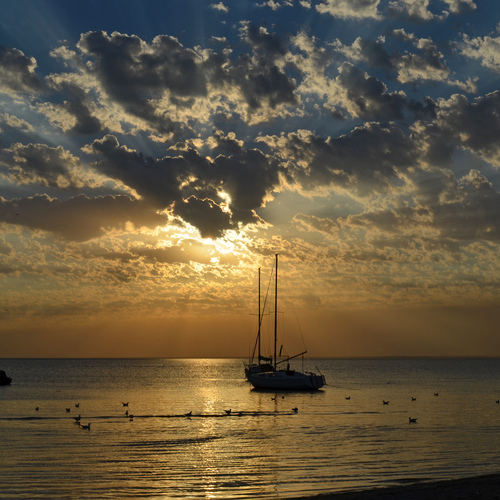 Photo #13784213