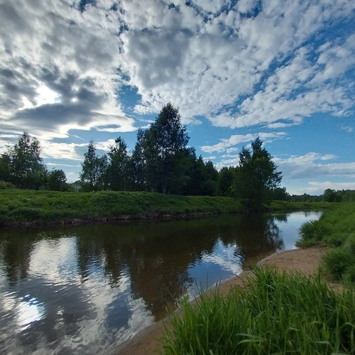 Photo #13784216