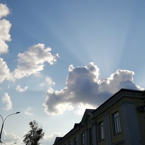 Photo #13784256