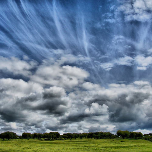 Photo #13784257