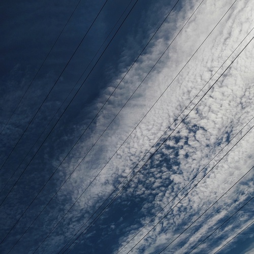 Photo #13784318