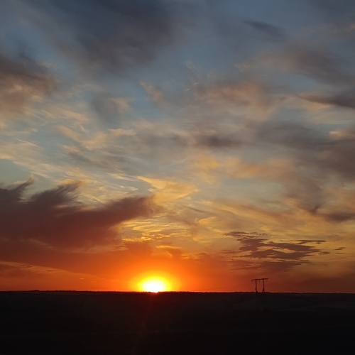 Photo #13784361