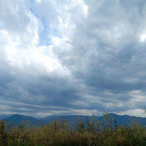 Photo #13784362
