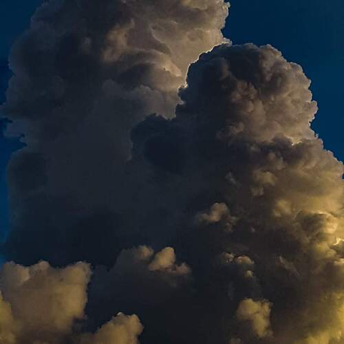 Photo #13784413