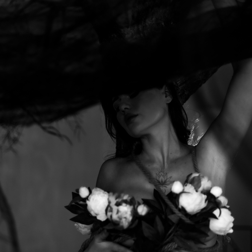 Photo #13784426