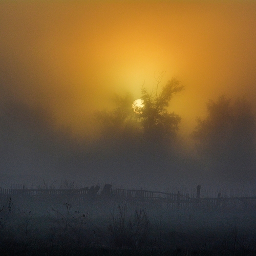 Photo #13784498
