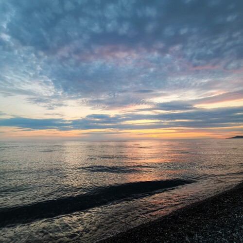 Photo #13784526