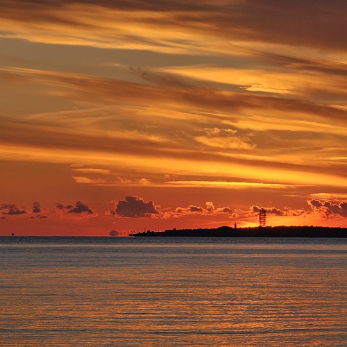 Photo #13784578