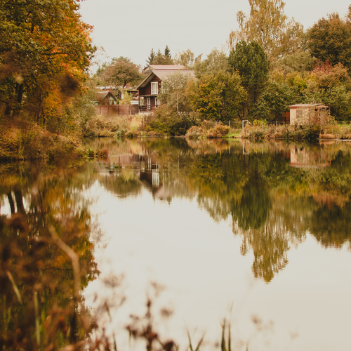 Photo #13784582