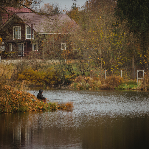 Photo #13784583