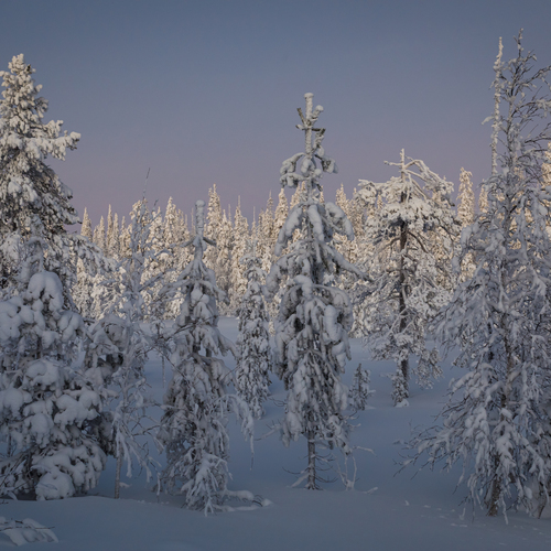 Photo #13784602