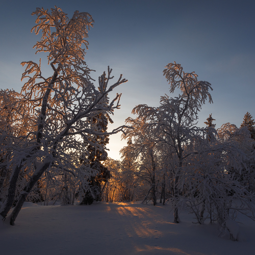 Photo #13784603