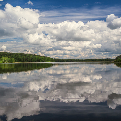 Photo #13784637
