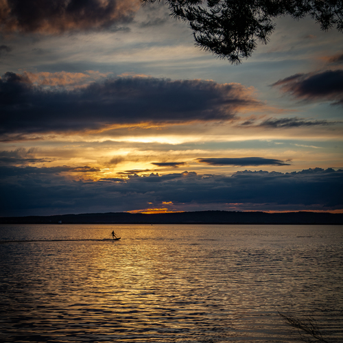 Photo #13784652