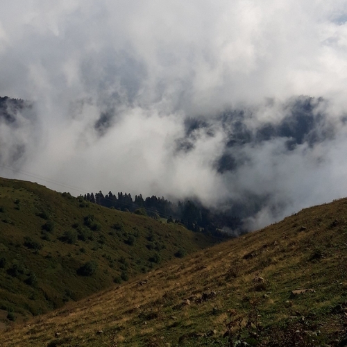 Photo #13784694