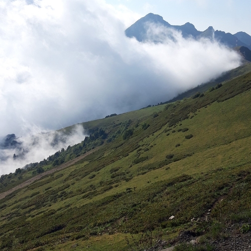 Photo #13784696