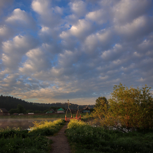 Photo #13784723