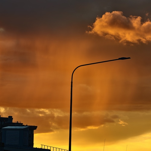 Photo #13784749