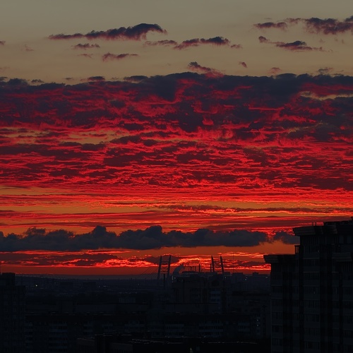 Photo #13784750