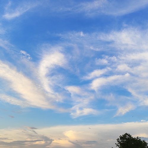 Photo #13784762