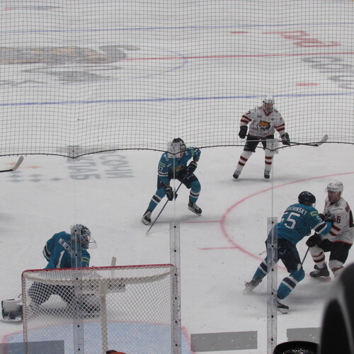 Photo #13784773