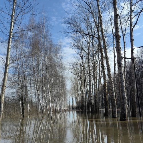 Photo #13784828