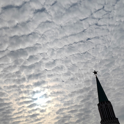 Photo #13784903