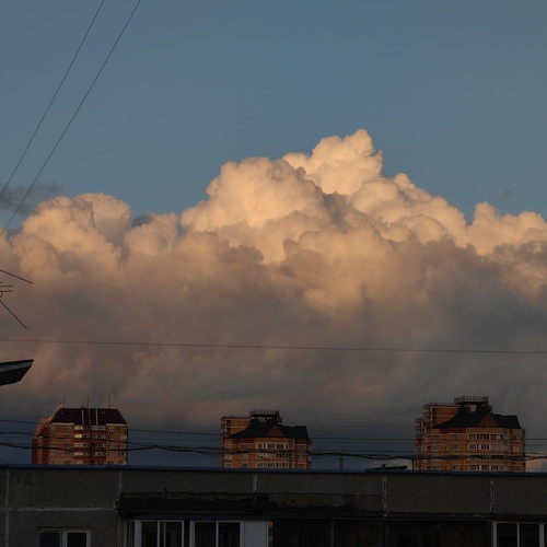 Photo #13784910