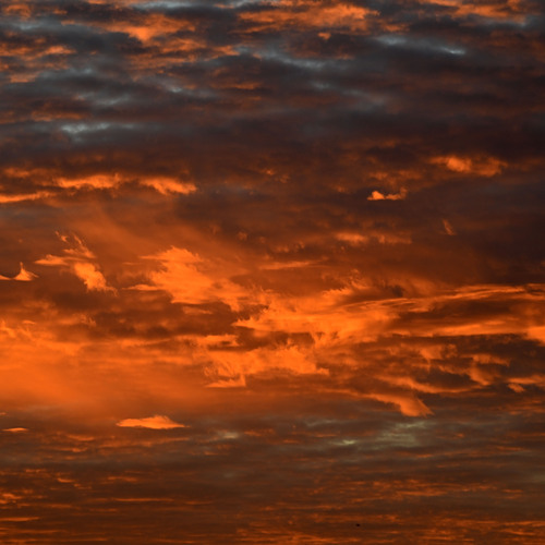 Photo #13785002