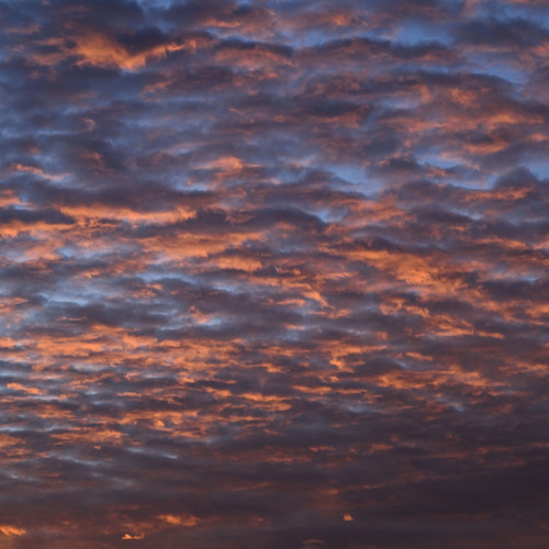Photo #13785005