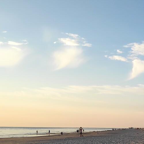 Photo #13785045