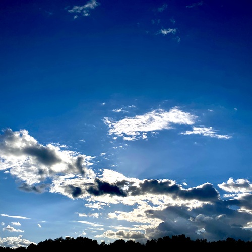 Photo #13785052