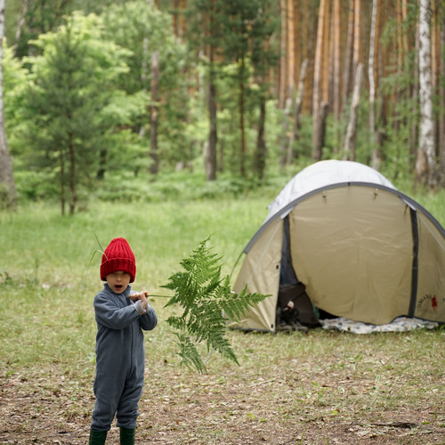Photo #13785059