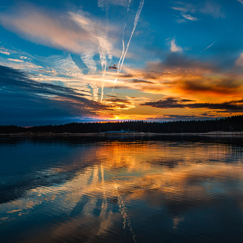 Photo #13785063