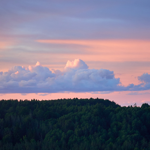 Photo #13785086
