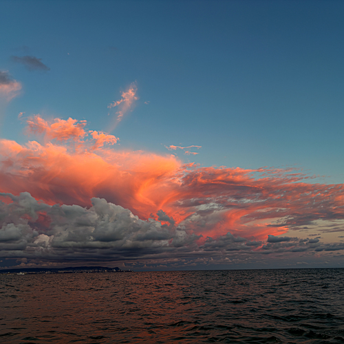 Photo #13785097