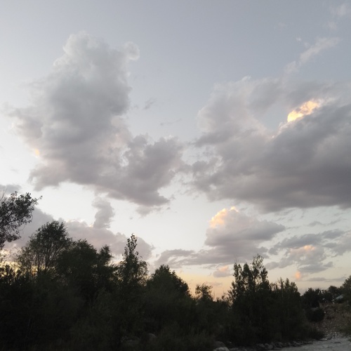 Photo #13785098