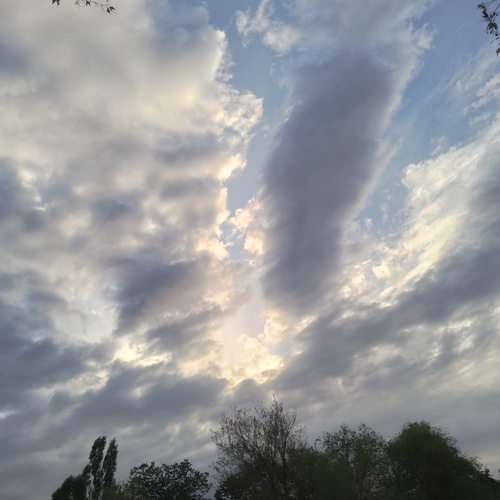 Photo #13785099