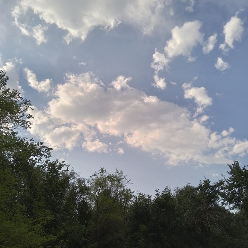 Photo #13785100