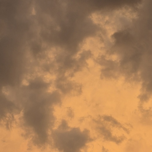 Photo #13785111